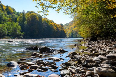 Dağ nehri ve ormanla sonbahar manzarası. Rusya, Kafkasya, Adygea