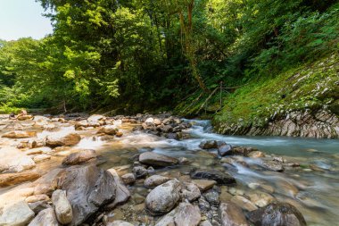 Bir dağ kanyonunda küçük sessiz bir nehir, sonbahar açık hava manzarası.