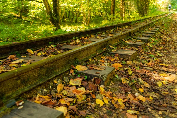 Low Angle View Small Railway Tracks Mountain Region Shallow Depth — Stock Photo, Image