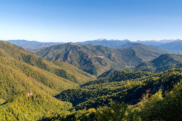 Панорамний Вид Гори Вкриті Лісом — стокове фото
