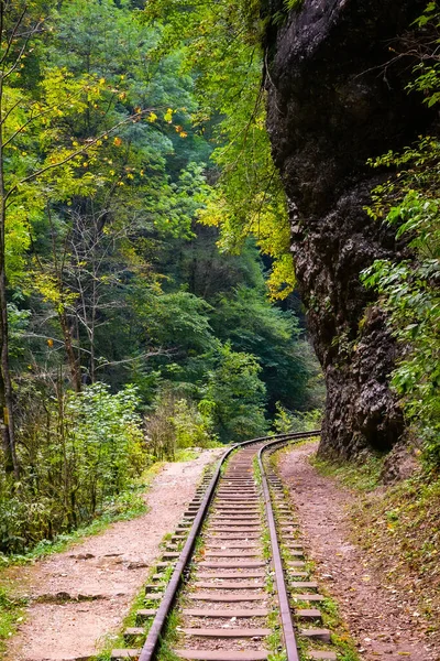 Old narrow gauge railway. A canyon Guamka, Path from Mezmay to Guamka. Russia, Krasnodar region.