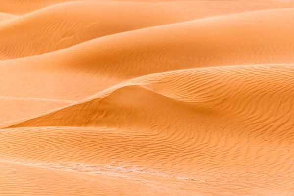 Courbure Crête Une Dune Sable Dans Désert — Photo