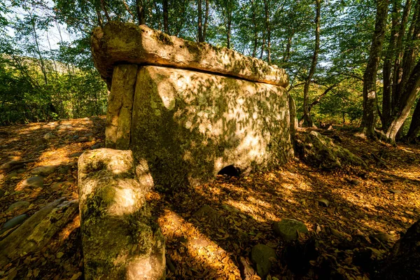 Dolmen Tumba Megalítico Antiguo Bosque —  Fotos de Stock