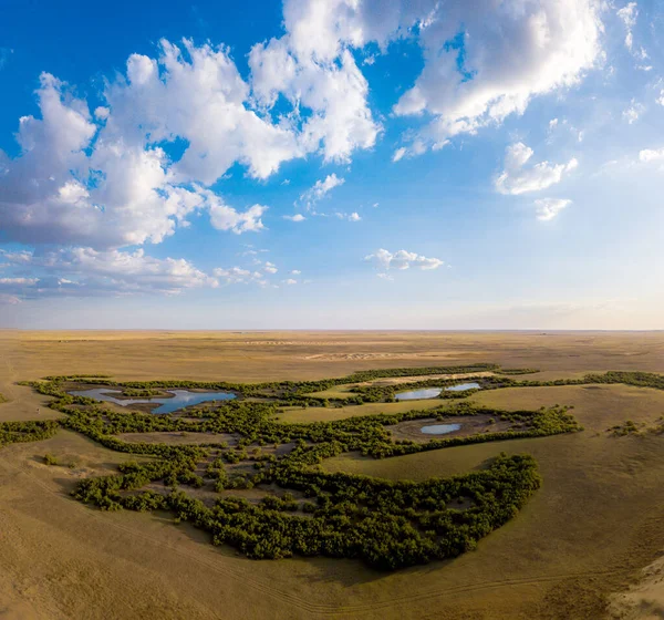 Veduta Oasi Zona Semi Desertica Steppa Con Lago Alberi Erba — Foto Stock