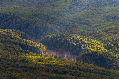 Dağ manzarası. Ormanla kaplı vadi ve dağlar.