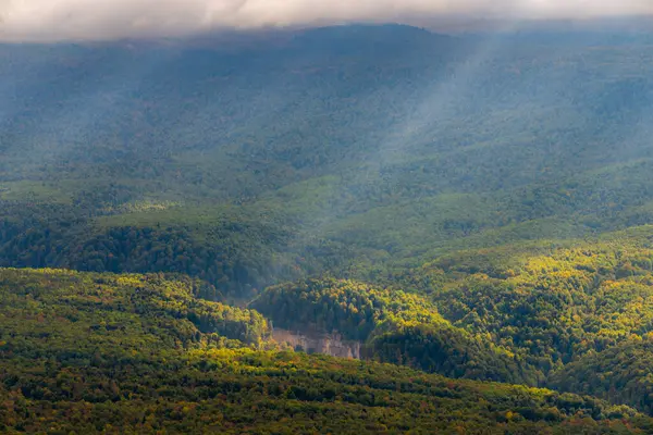 Гірський Ландшафт Ущелина Гори Вкриті Лісом — стокове фото