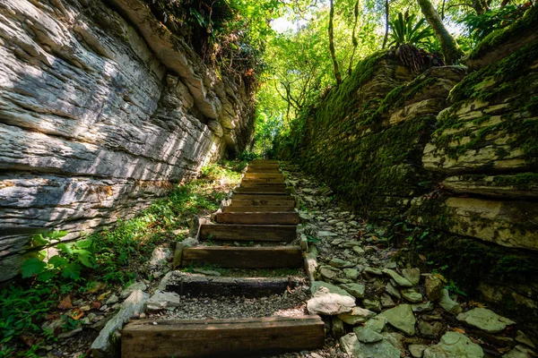 神秘森林里的石阶徒步旅行的小径 — 图库照片