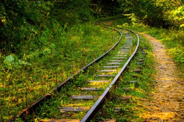 Sonbahar ormanlarında terk edilmiş demiryolu Kafkasya, Mezmay 'da ağaçlarla kaplı..