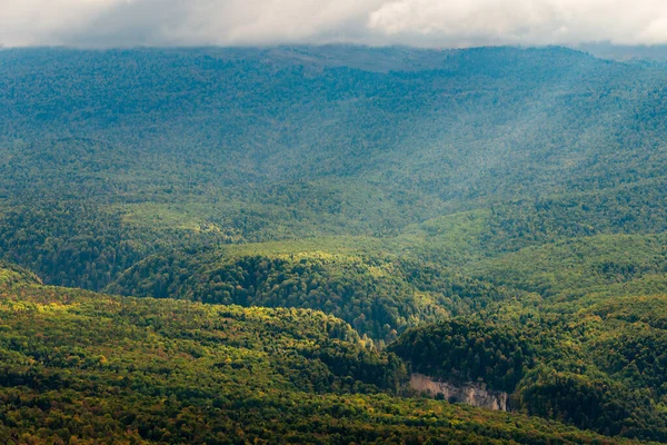 Гірський Ландшафт Ущелина Гори Вкриті Лісом — стокове фото