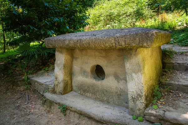 Yaşlı Dolmen. Ormanda ya da parkta bir masa taşı..