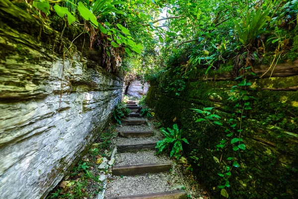 Stenen Trap Mysterieus Bos Wandelpad Voor Wandeltochten — Stockfoto