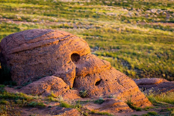 Vista Lago Salgado Baskunchak Uma Pedra Semelhante Cabeça Animal Homem — Fotografia de Stock