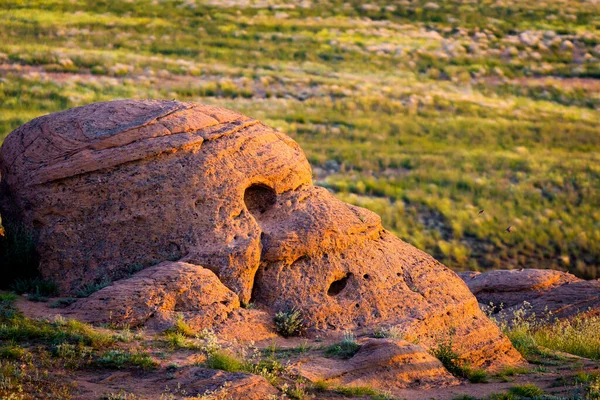 Vista Del Lago Salado Baskunchak Una Piedra Similar Cabeza Animal —  Fotos de Stock