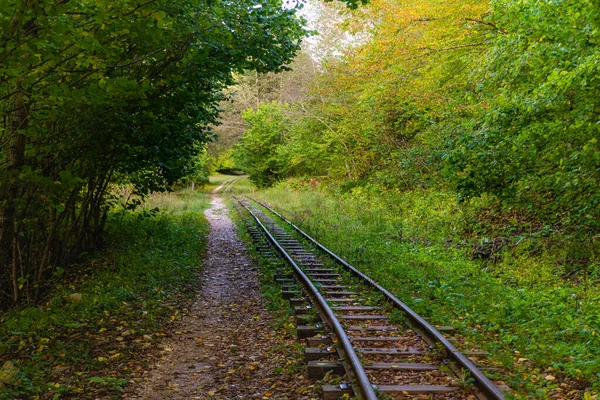 Opuštěná Železnice Podzimním Horském Lese Listovníky Kavkaze Mezmay — Stock fotografie