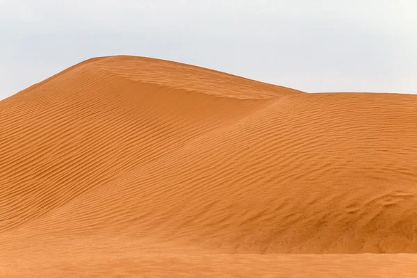 Courbure Crête Une Dune Sable Dans Désert — Photo