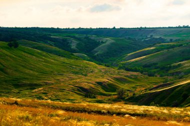 Tepelerin yamaçlarında yaz manzarası. Tepenin yamacındaki vadide yeşil ve tüylü otlar.