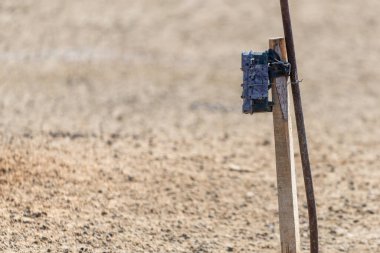 Çubukta kamera tuzağı. Vahşi doğadaki bir hayvanın fotoğrafını çekmek için izleme kamerası..