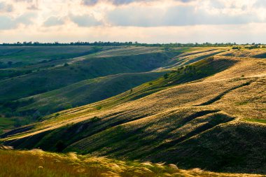 Tepelerin yamaçlarında yaz manzarası. Tepenin yamacındaki vadide yeşil ve tüylü otlar.