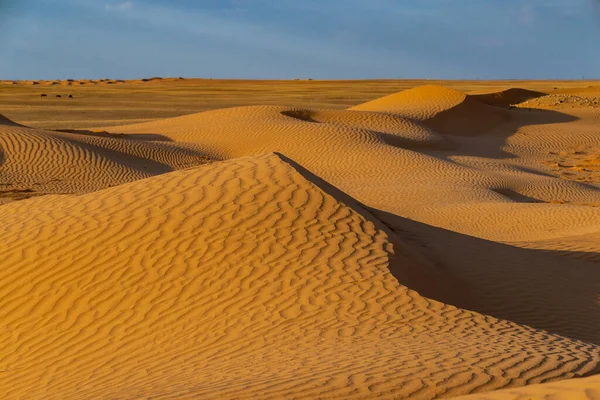 Grote Duinen Van Woestijn Prachtige Structuren Van Zandbarkhan Zand Duin — Stockfoto