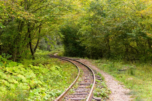 Verlassene Eisenbahn Herbstlichen Bergwald Mit Laubbäumen Kaukasus Mezmay — Stockfoto