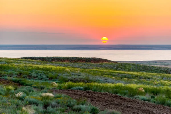 Bellissimo Paesaggio Estivo All Alba Con Steppa Fiume Lago — Foto Stock