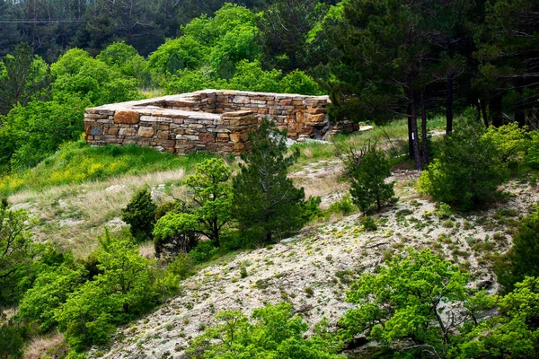 Ruinas Antiguo Edificio Piedra Abandonado Bosque —  Fotos de Stock