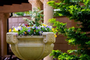 Taş çiçek kabı ya da nonoş çiçekli çömlek.