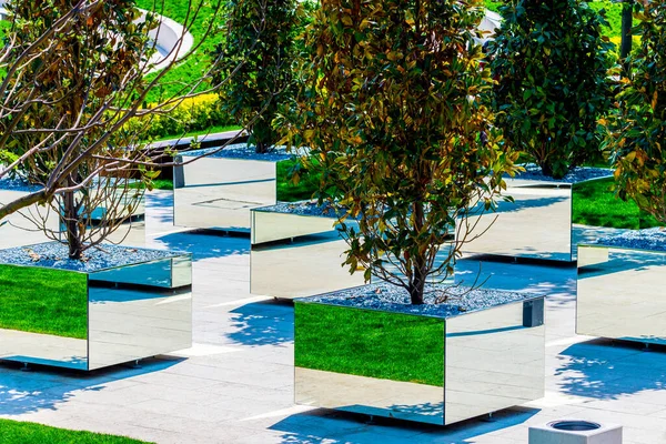 Young trees or plants in mirror square containers. Original square mirror flower bed in public landscape city park.