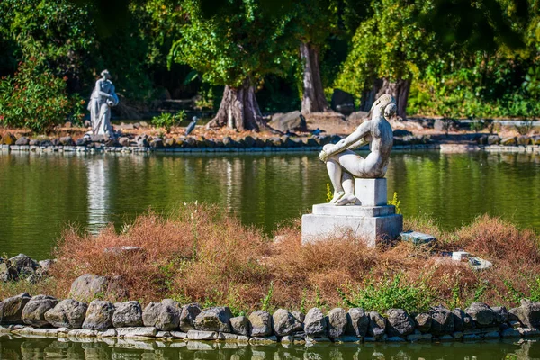 Portekiz Lizbon Ekim 2018 Parkın Arka Planında Güzel Bir Kadın — Stok fotoğraf