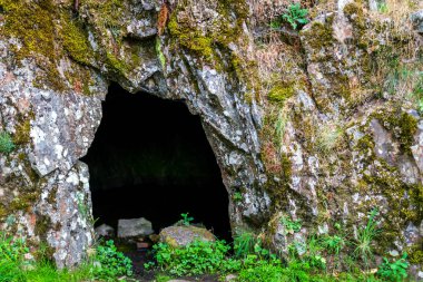 Mağara ve ormanın manzarası. Mağaraya manzaralı giriş. Kara delikli kaya duvar.