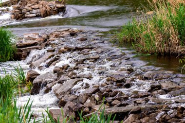 Orman baharı ya da nehir akışı manzarası, sakin doğa arka planı.