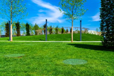 Rögar kapağı parktaki çimenler gibi kamufle oldu..