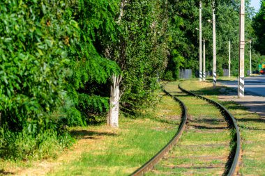 Yeşil otlarla çevrili kıvrımlı tramvay rayları.