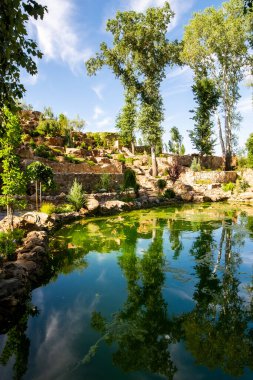 Botanik parkında çağlayan çeşmeli yapay göl ya da göl.