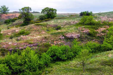 Tepelerin güzel yeşil yamaçları. Yaz mevsiminde doğa