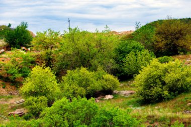 Tepelerin güzel yeşil yamaçları. Yaz mevsiminde doğa
