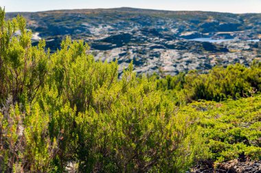 Dağın eteğindeki uçurumun kenarındaki güzel manzara.