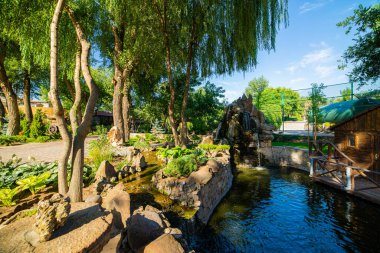 Su bitkileri ve nilüferlerle dolu göl manzarası. Bahçe dekoru