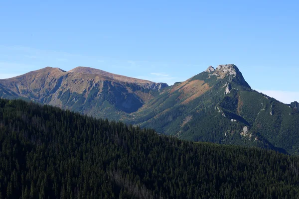 Giewont в Татрах — стокове фото