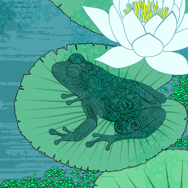 Frog in the swamp. Lily and water.