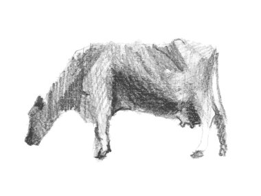 İnek. Vektör çizim.