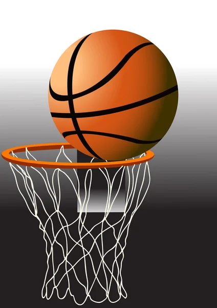 Basketbol. Sepet topu