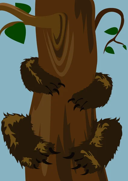 木の上にクマ — ストックベクタ