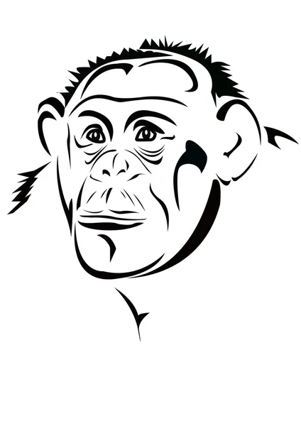 La tête du singe — Image vectorielle