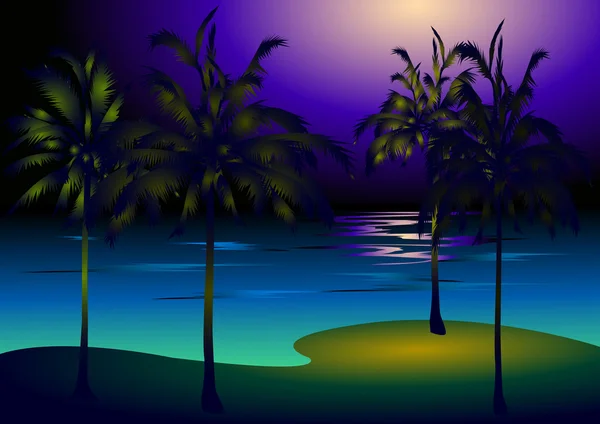 Wybrzeże, palmy, noc — Wektor stockowy
