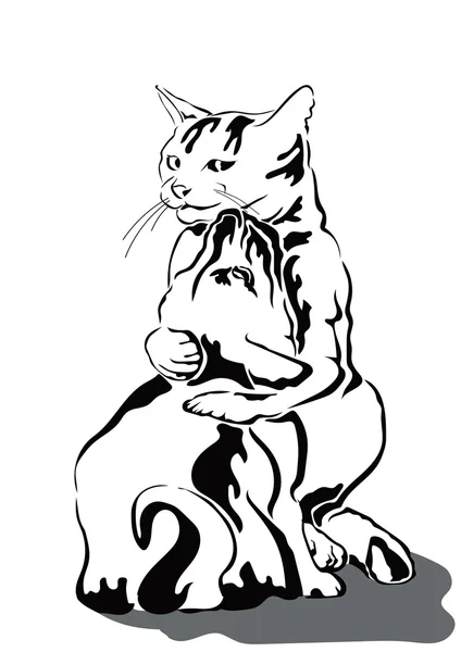 Kedi ve köpek.