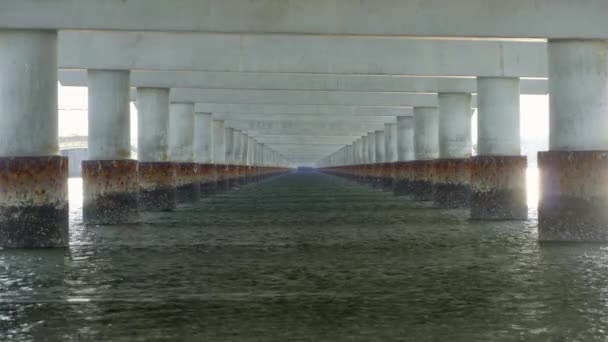 Rader av pyloner i vatten under mycket lång rak bro, looping fast skott — Stockvideo