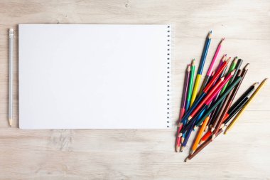 Defterdeki kalemler.