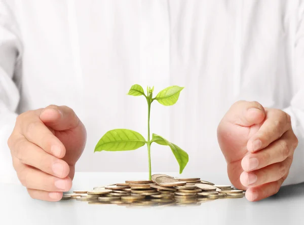 Begreppet pengar växtodling från mynt — Stockfoto