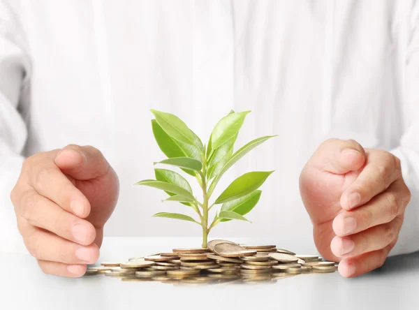 Pojmu peníze rostlina rostoucí z mince — Stock fotografie